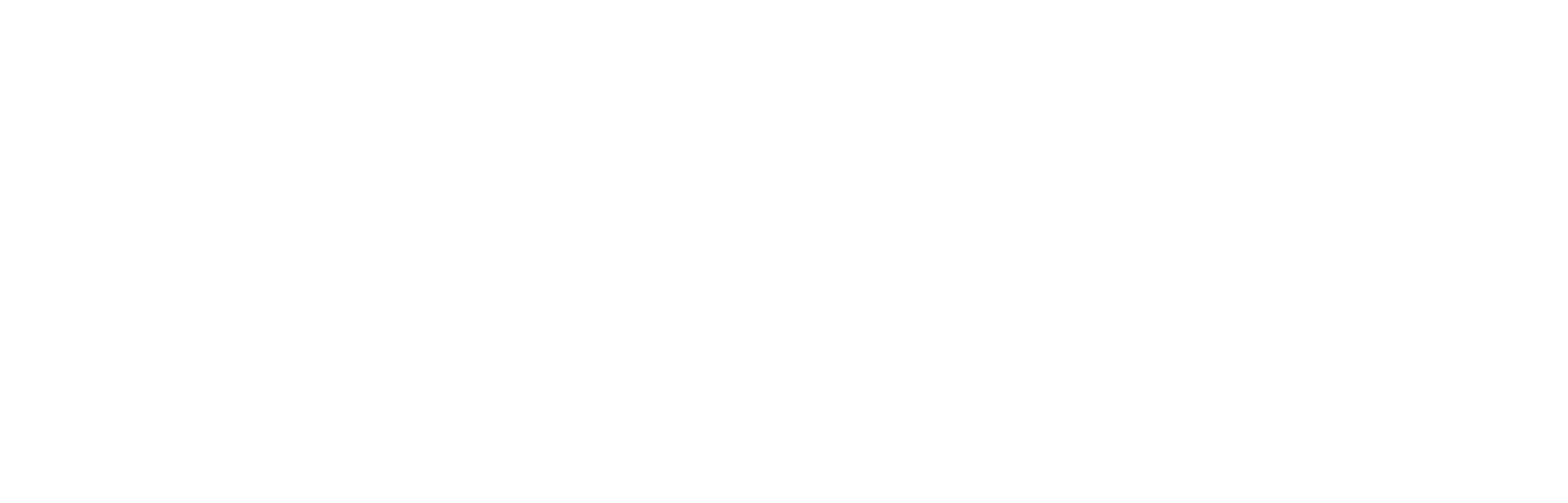 CSN Logo